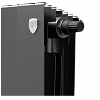 Радиатор Royal Thermo PianoForte 300 /Noir Sable - 10 секц. VDR
