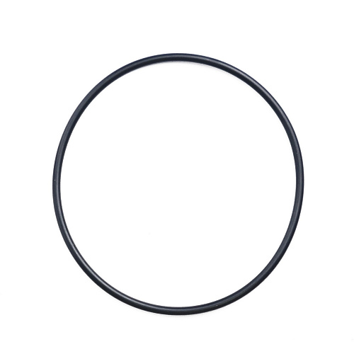 Кольцо уплотнительное для прозрачных корпусов ГЕЙЗЕР/СТАНДАРТ, 085-090-30