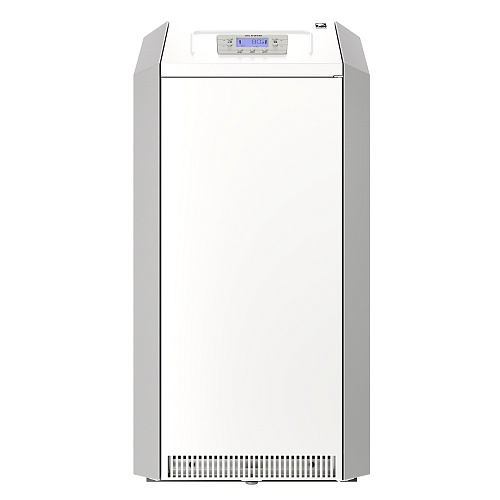 Котел газовый напольный LEMAX CLEVER 55