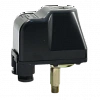 Реле давления для насоса UNIPUMP РМ/5 наружная резьба 1/4&amp;quot;