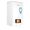 Котел электрический настенный THERMEX TESLA 6-12кВт, Wi-Fi (ЭдЭБ02792)