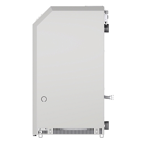 Котел газовый напольный LEMAX CLEVER 55