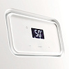 Котел газовый настенный PROTHERM РЫСЬ К 18/25 MKV, 18 кВт, двухконтурный, конденсационный