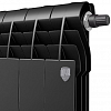 Радиатор Royal Thermo BiLiner 350 /Noir Sable VR - 10 секц.